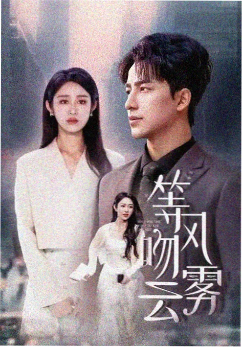边境线人剧集海报